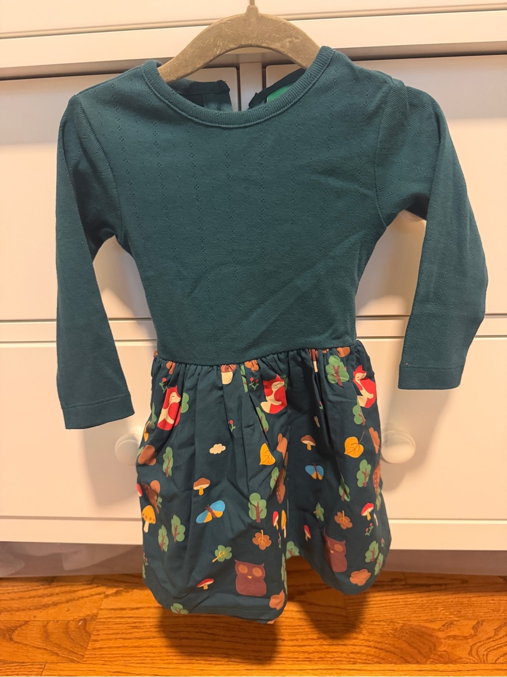 Little Green Radicals Teal Long-Sleeve Dress with Forest Print Skirt
